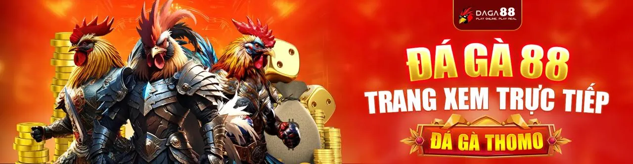 Đá Gà Trực Tiếp Kịch Tính tại Lucky8